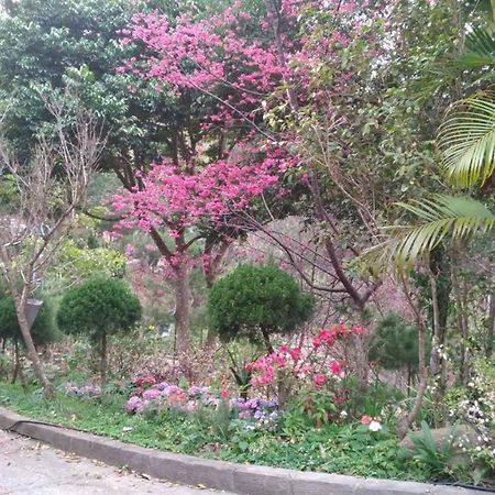Ruyi Yuan Homestay Tongxiao Exteriér fotografie